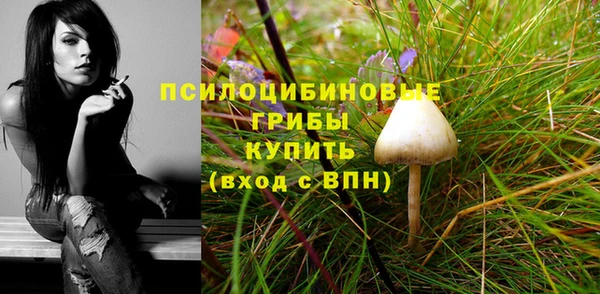 гашик Вязьма