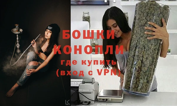 твердый Володарск